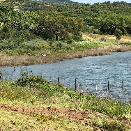 Fontes - A Essencia Do Alentejo Com Lago Privado Redondo Esterno foto