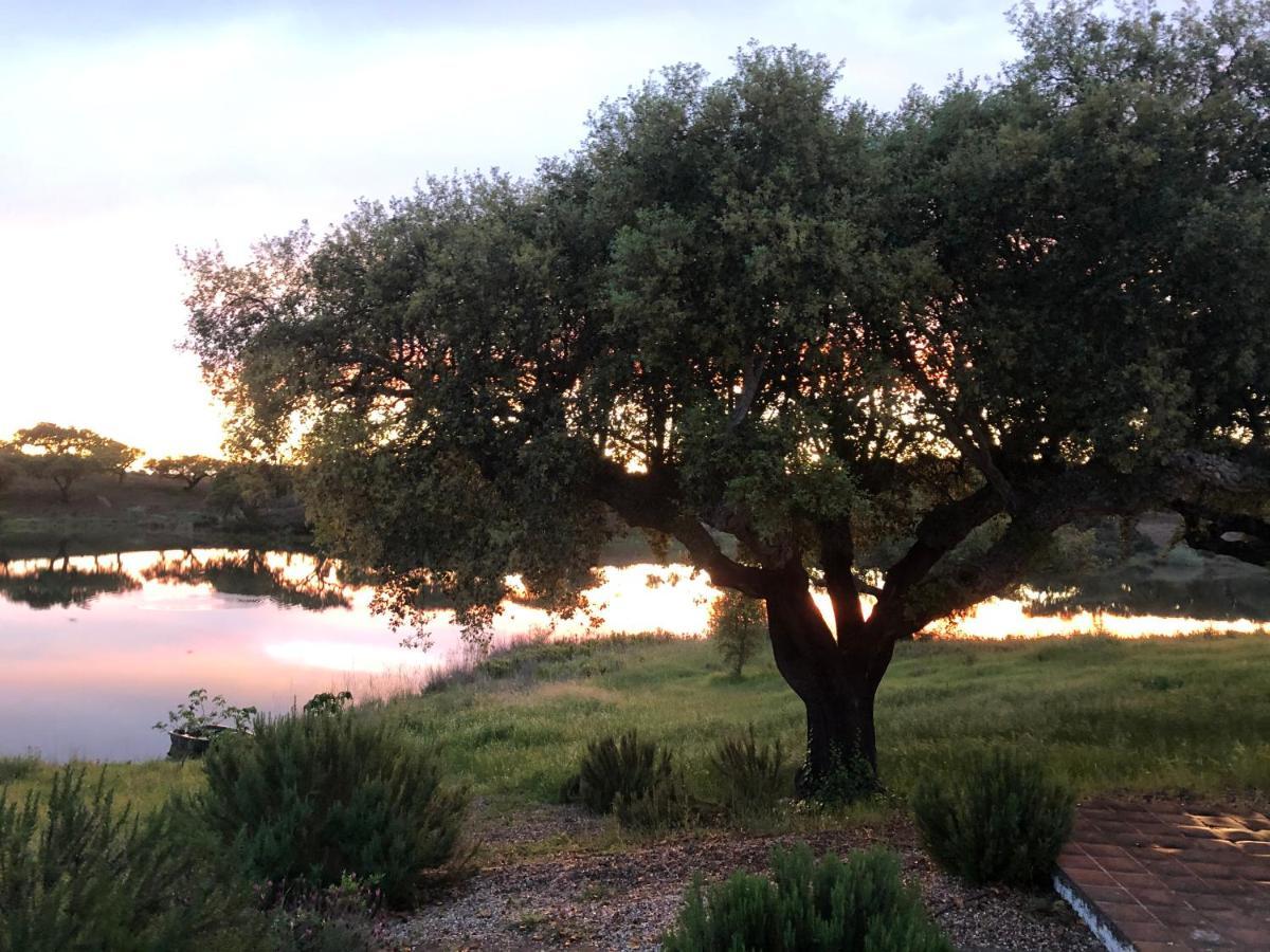 Fontes - A Essencia Do Alentejo Com Lago Privado Redondo Esterno foto