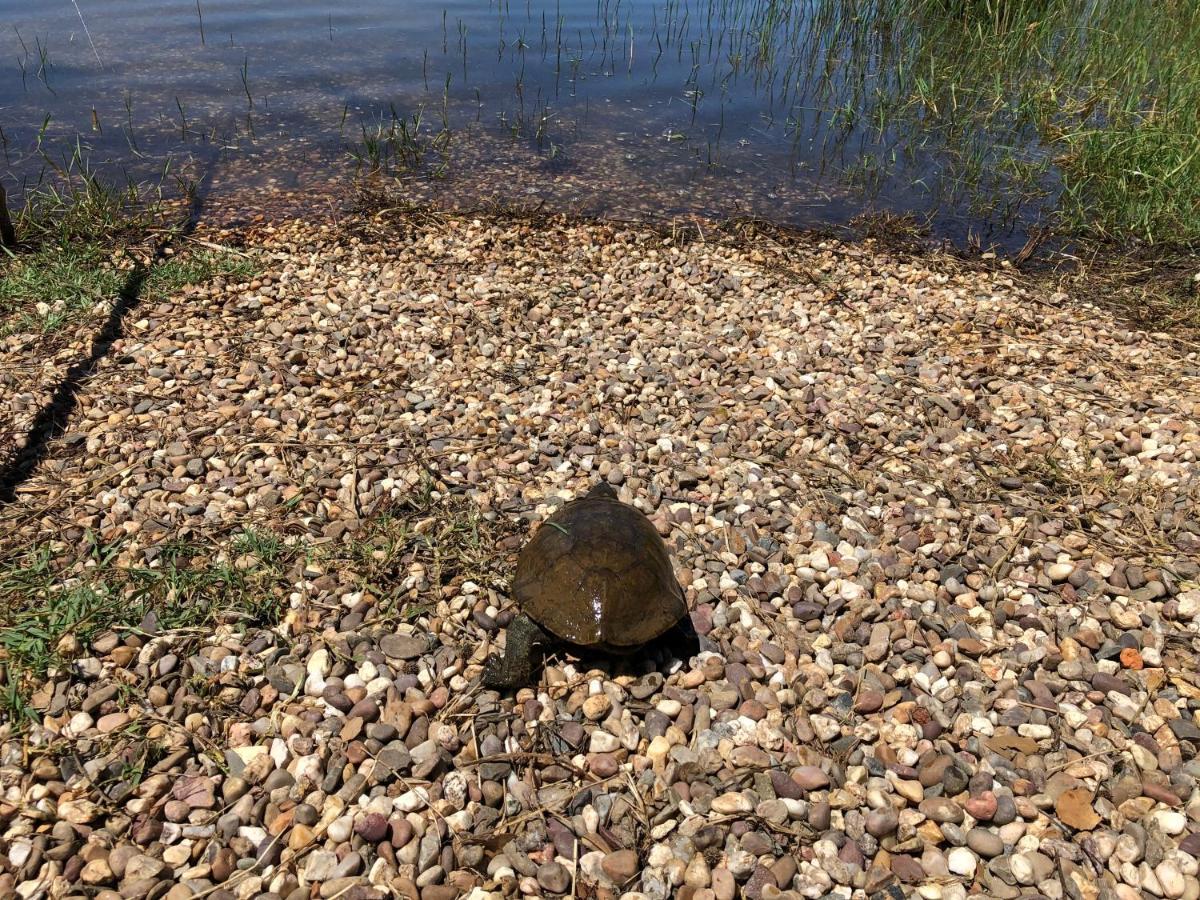 Fontes - A Essencia Do Alentejo Com Lago Privado Redondo Esterno foto