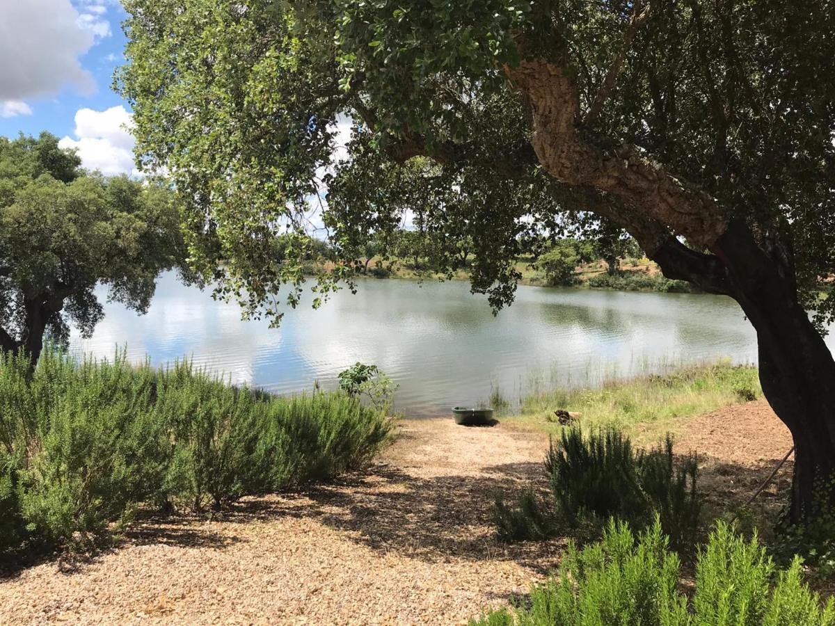 Fontes - A Essencia Do Alentejo Com Lago Privado Redondo Esterno foto