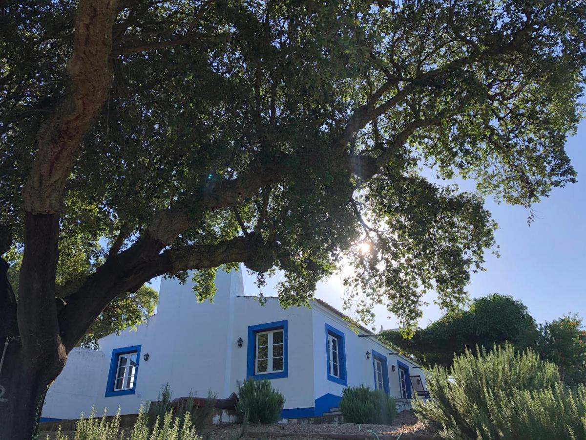 Fontes - A Essencia Do Alentejo Com Lago Privado Redondo Esterno foto