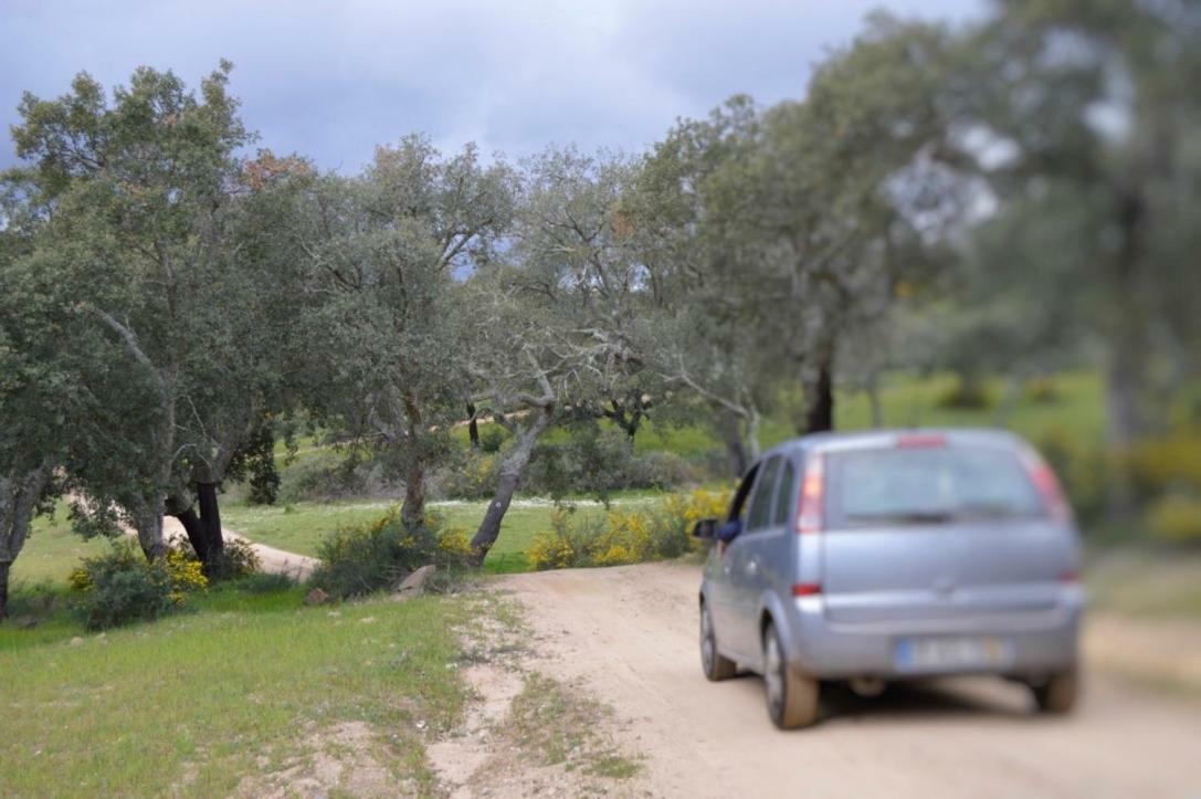 Fontes - A Essencia Do Alentejo Com Lago Privado Redondo Esterno foto